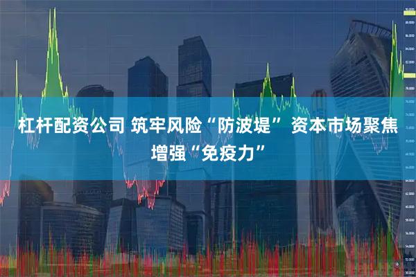 杠杆配资公司 筑牢风险“防波堤” 资本市场聚焦增强“免疫力”