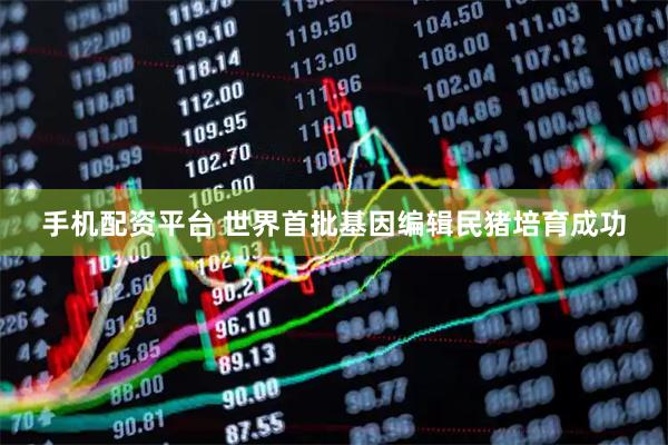 手机配资平台 世界首批基因编辑民猪培育成功