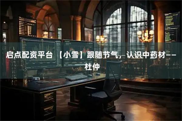 启点配资平台 【小雪】跟随节气，认识中药材—— 杜仲