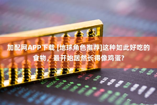 加配网APP下载 [地球角色推荐]这种如此好吃的食物，最开始居然长得像鸡蛋?