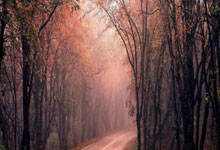 手机上买股票开户:免费股票选股软件app下载-中俄朝三国领导人将在北京会晤？外交部回应