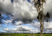 杠杆都有什么:配资炒股导航-标普500还能再涨1290点！华尔街投行疯狂唱多！