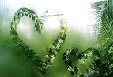 炒股配资门户推荐网:买股票注册哪个证券公司好-大幅加仓 连续14周净买入！资金涌向这些股 芯片龙头成交居首