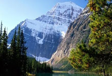 靠谱股票配资:那种股票软件最好用-阿里云：阿里采购寒武纪15万片GPU的消息不实