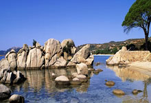 股票买入的技巧:手机股票什么好-黄金股上半年业绩亮眼 绩优标的频获机构调研